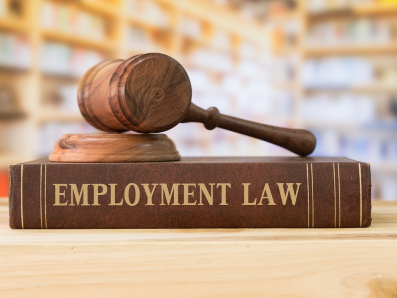 Employment Lawyer Toronto