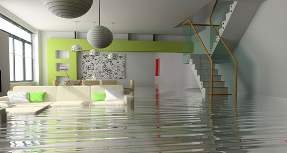 What Can A Water Damage Service Do For Your Home After A Disaster