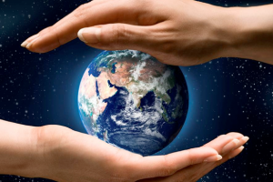 Why Let A Foreign Language Hamper Your Growth