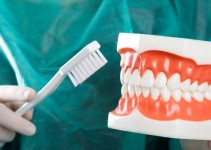 What Qualities Do You Need To Have As A Dental Hygienist?