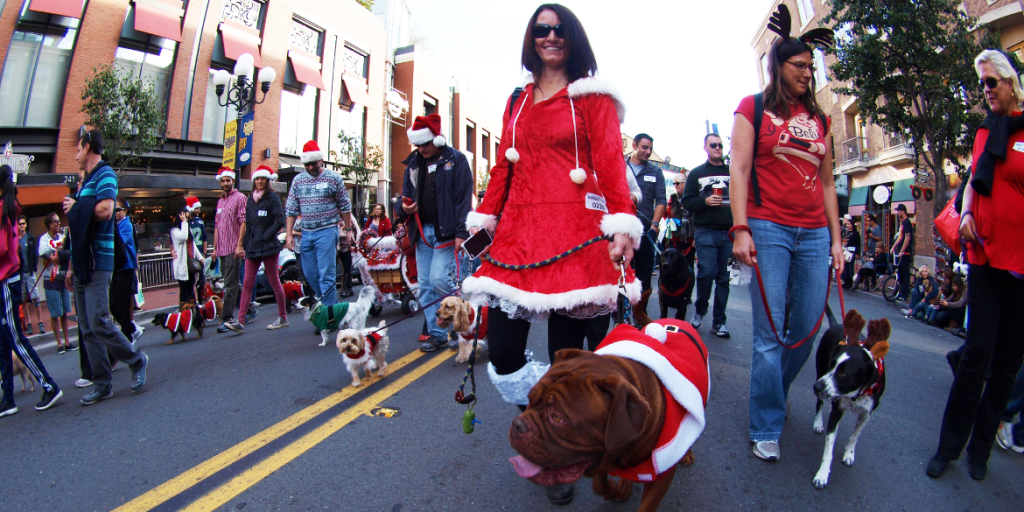 How To Get Your San Diego Pet and Pet Friendly Home Ready For The Holidays