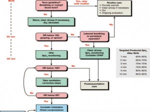 Neonatal Resuscitation Program - An Overview
