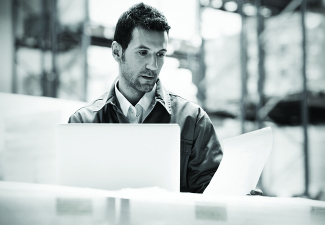 How To Manage Your Plants When Moving Out