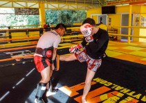 Muay Thai Camp Is More Than Just Loss Weight Fitness Routine