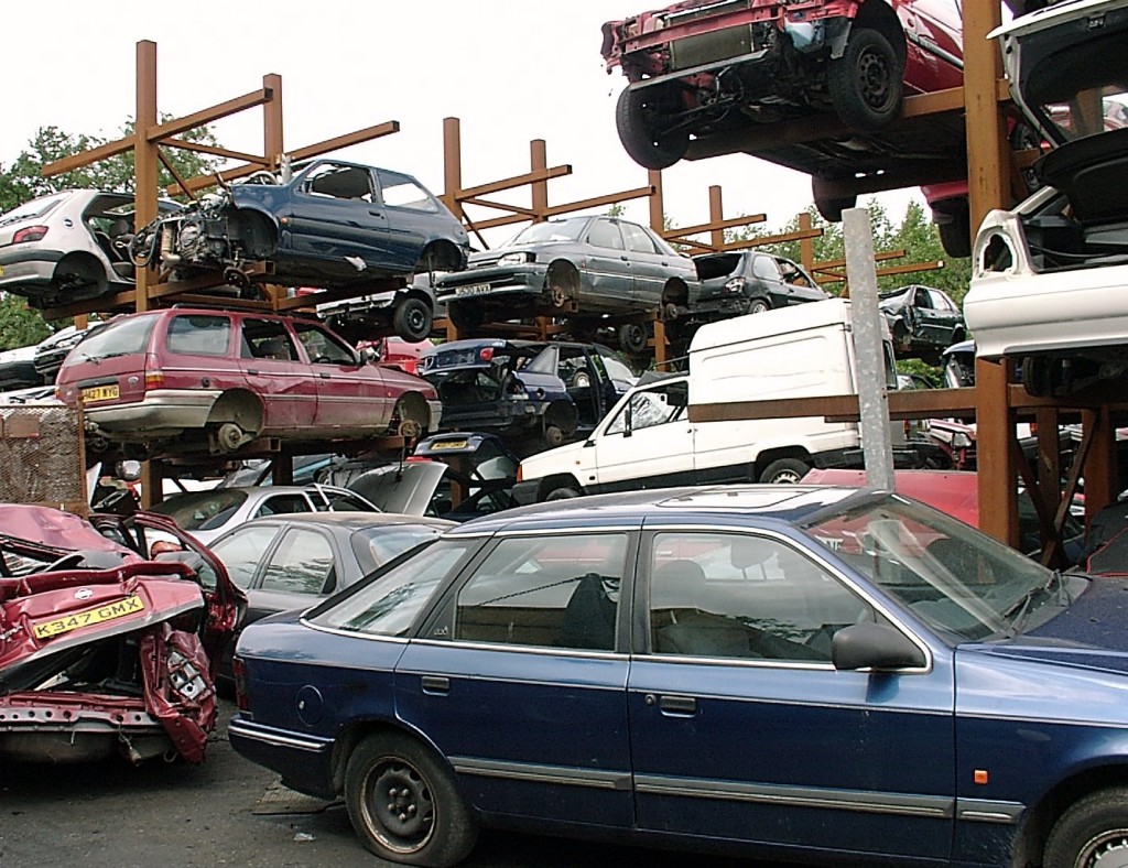 Starting A Business or Buying A Salvaged Car? Learn More Here