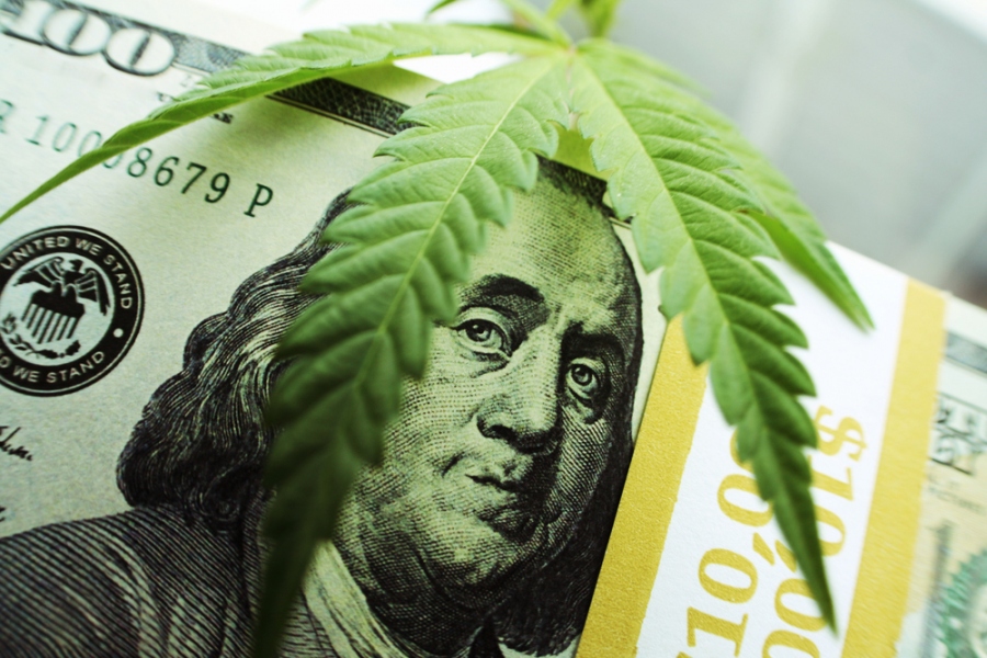 Starting A Successful Marijuana Business