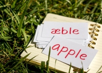 Do You Know How Learning Danish Will Benefit You In More Ways Than One?