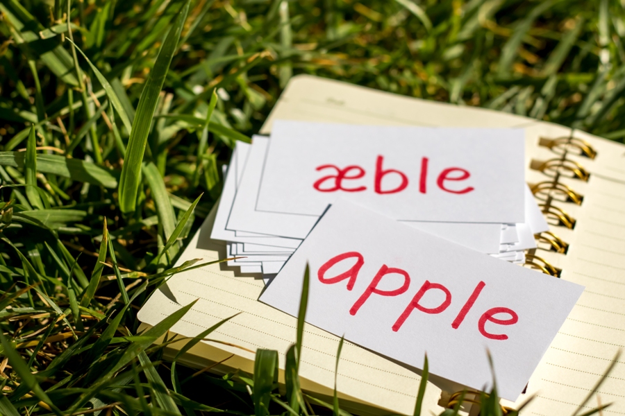 Do You Know How Learning Danish Will Benefit You In More Ways Than One?